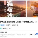 삼우디자인 - 하남시 | [연태 완다몰 카페] 차지(CHAGEE) 고급스러운 밀크티 메뉴 추천과 꿀팁 솔직후기
