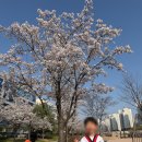 미라클태권도장 이미지