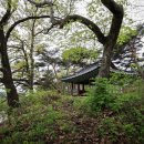 추월정秋月亭 이미지