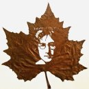 영국 예술가가 만든 나뭇잎 예술 작품 이미지