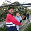 오촌농장 이미지