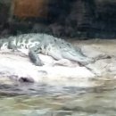 뉴태창여행사 이미지