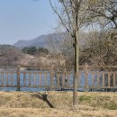 모악산참모싯잎송편 이미지