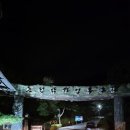 단양숲속의정원민박 | 단양 소선암 자연휴양림 트리하우스 숲.