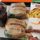 숙골로 R 이미지