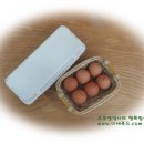 서영2농장 이미지