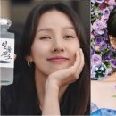 하이트퀸 이미지