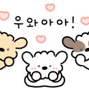 까페구아나 이미지