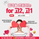 스카이윙 이미지