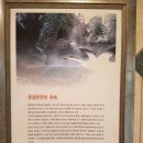 유성호텔 대온천탕 이미지