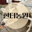 한터농원 이미지