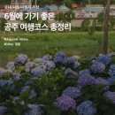 너울숲 이미지