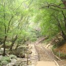 강촌유원지 이미지