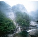 산천초목 이미지