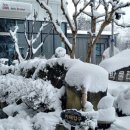 카페바체프 네이버블로그
