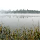 왈츠와 닥터만 커피박물관 이미지