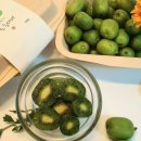 다래실천 이미지