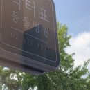 닥터표 동물병원 이미지