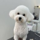 둥글리다 이미지