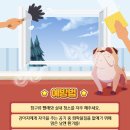 맑은 동물의료센터 네이버블로그