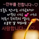 사랑합니다-희망 이미지