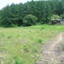 칠갑산 도림온천 이미지