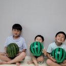 경희대한결태권도 이미지