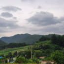 조산공원길 이미지