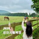 매일우유 한림대리점 | 제주 한림 가볼만한곳 성이시돌 목장 우유 아이스크림