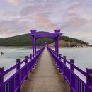 신안안경 이미지