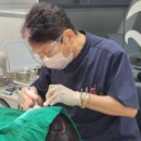 NY치과의원 이미지