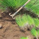 달래농장 이미지