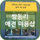 올라펫살롱 이미지