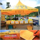 내린천수상레저 이미지