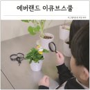 한국곤충연구소 | 경기도 아이와 가볼만한곳 추천 에버랜드 이큐브스쿨 키즈프로그램 동물 식물 체험 후기