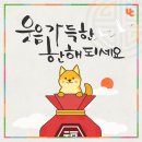 더디자인스 이미지
