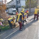신탄진15통경로당 이미지