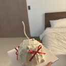 웨딩 촬영_ 부산 기장 노이 스튜디오 웨딩촬영 후기