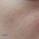 평화피에이치 | 피에이치하비 릴리워터 크림, 광채가 돌아요