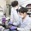 상한전자 이미지