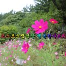 나드리세탁소 이미지