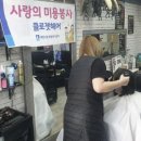 커트와 파마 이미지