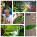 금오유치원 가자, 그림책 보며 놀자 이미지