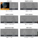 강고피시방 | 클로저스의 새로운 캐릭터 늑내개 정식대원 나타 플레이 후기