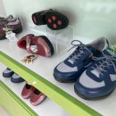 기능성신발슈올즈