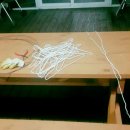 대산민박 이미지