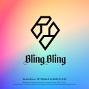 블링블링(bling-bling)