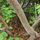 예덕피부관리 이미지