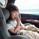 덕산2차 아파트 어린이놀이시설 | 아기랑 홍천 비발디파크 | 소노펠리체,오션월드 | 아이랑 워터파크 | 조식/룸컨디션/부대시설/식당