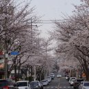 국도세탁소 네이버블로그